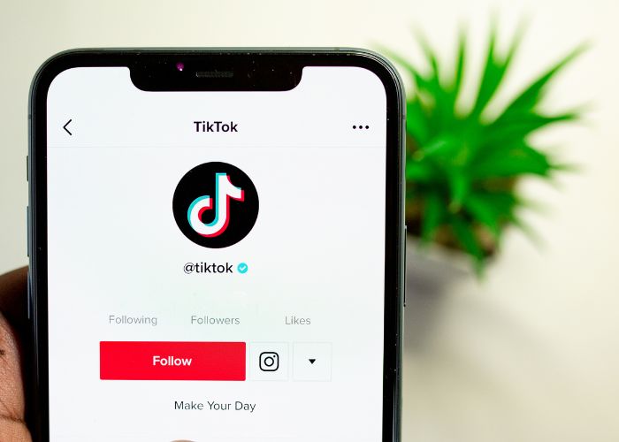 How Tiktok Could Amazingly become No.1 in Social Media Industry